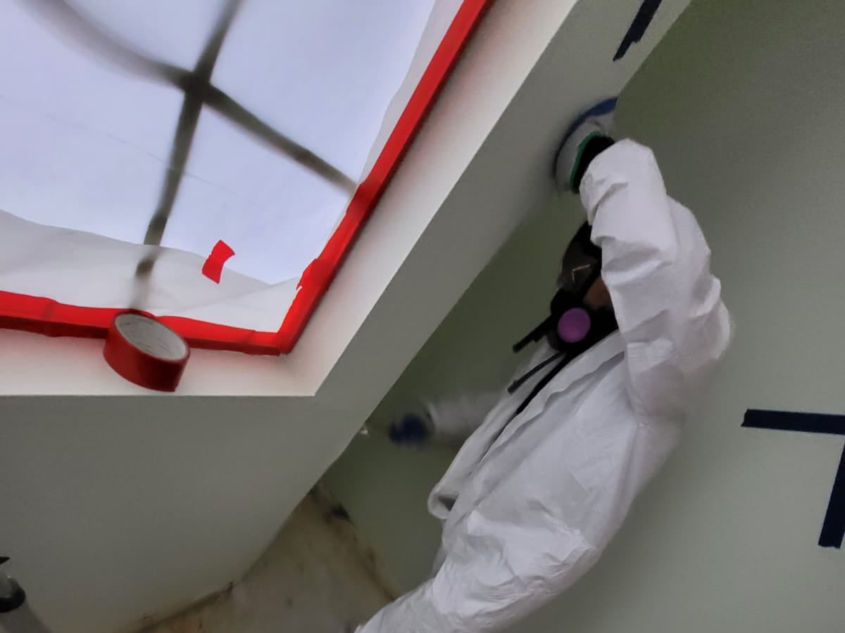 Mold Testing: Find hidden moisture before it spreads